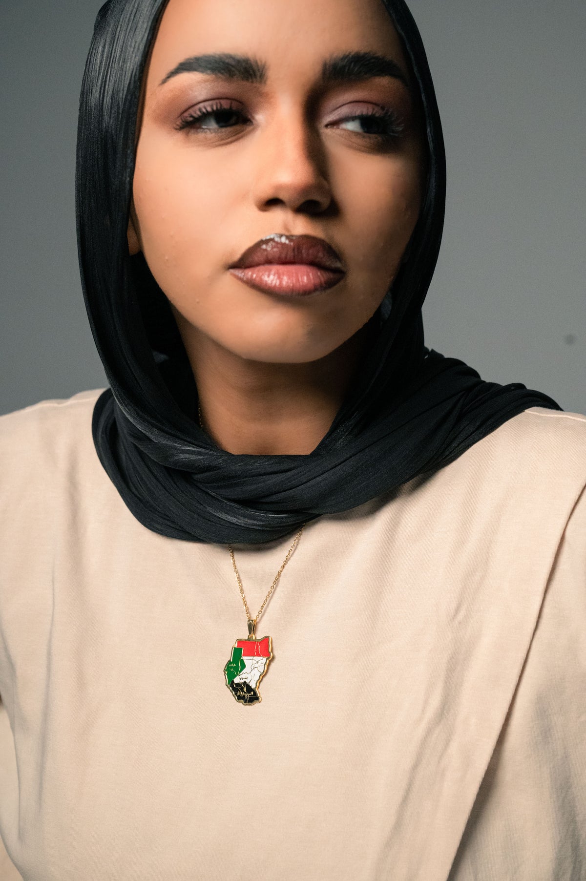خريطة السودان بألوان العلم